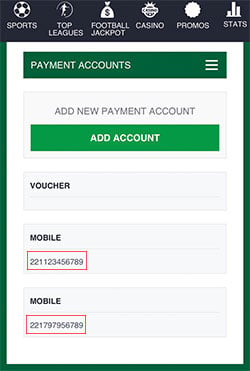 Your registered mobile money number
